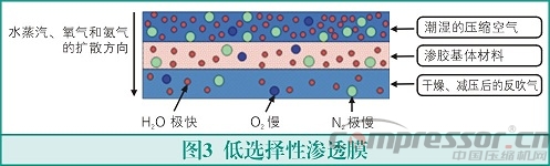 膜式干燥器的原理與應用