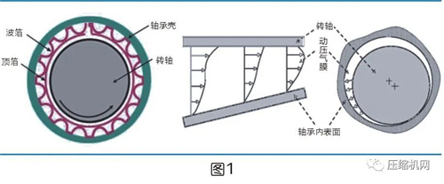 微信圖片_20220411170355.jpg